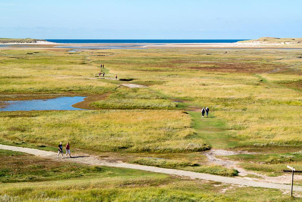 Wandelen Texel, mooiste wandelgebieden Nederland