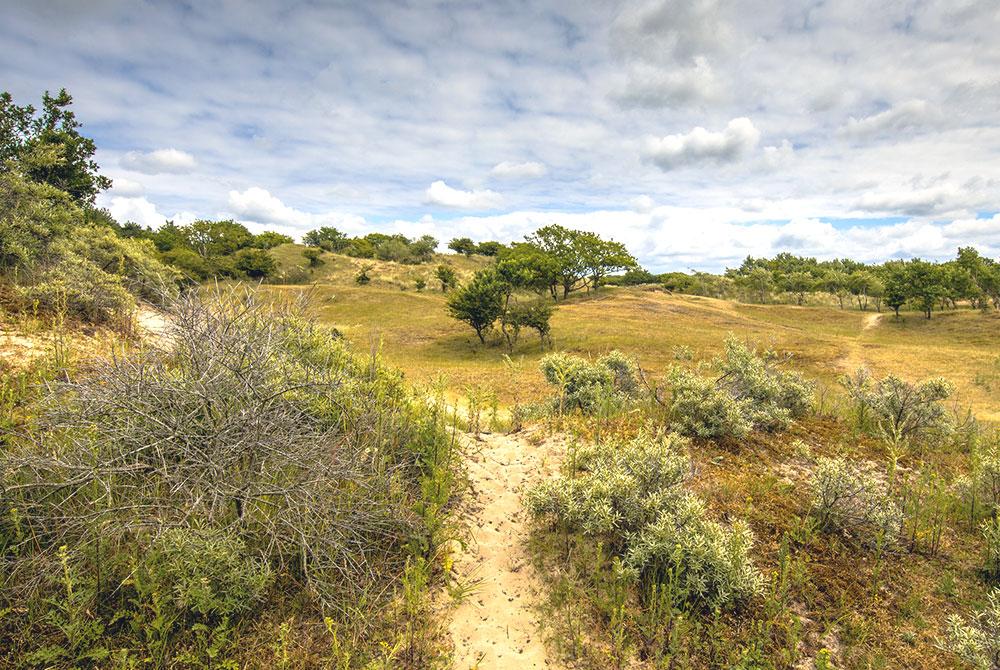 Duinen wandelen, , mooiste wandelgebieden Nederland