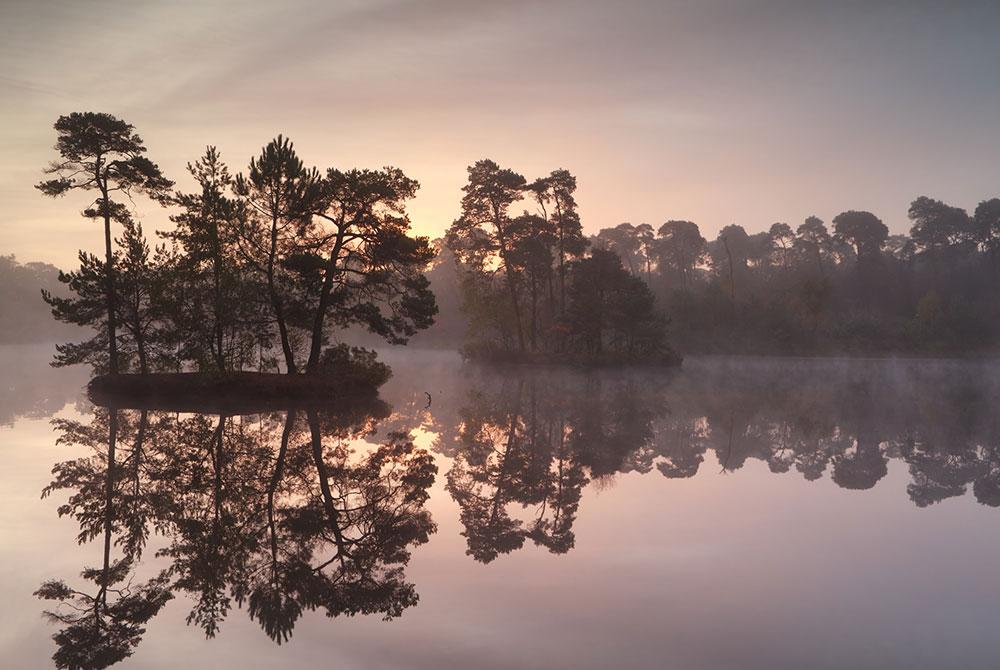 Oisterwijkse bossen, mooiste wandelgebieden Nederland