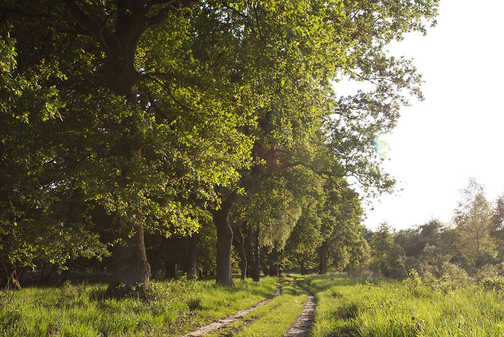 Nationaal Park De Meinweg, mooiste wandelgebieden Nederland