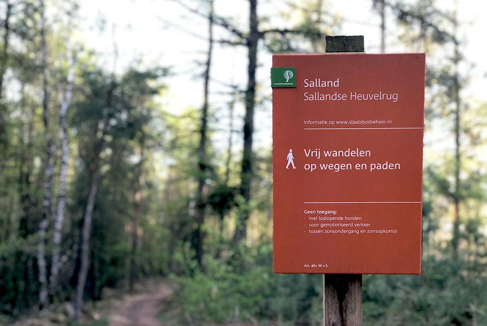 Wandelen, Nationaal Park De Sallandse Heuvelrug