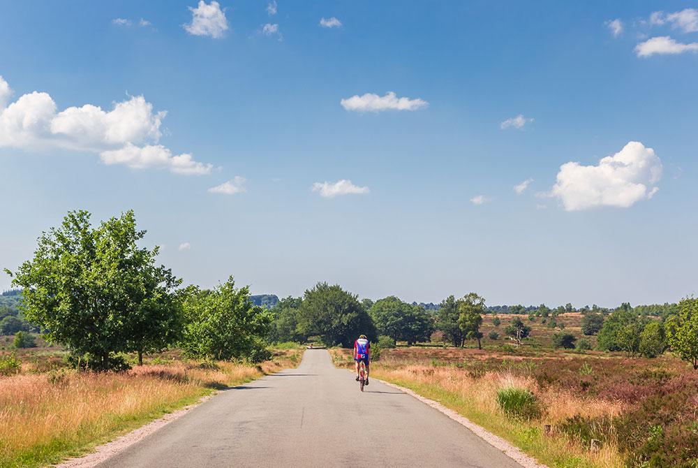 Fietsen, Nationaal Park De Sallandse Heuvelrug