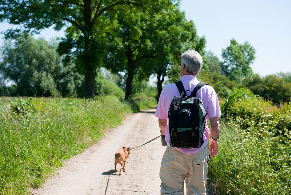 Hond, Nationaal Park De Sallandse Heuvelrug