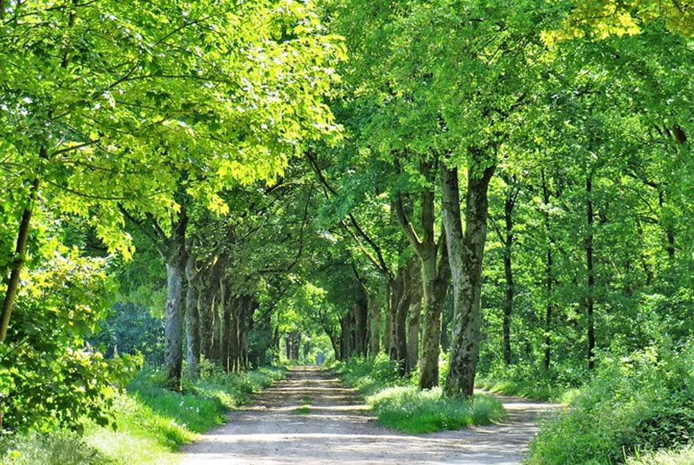 Susteren natuur, fietsroutes Zuid-Limburg