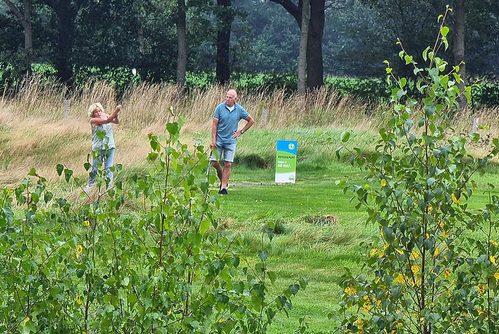 18-holes Pitch & Putt golfbaan, Landal Orveltermarke