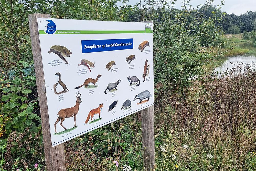 Zoogdieren op Landal Orveltermarke
