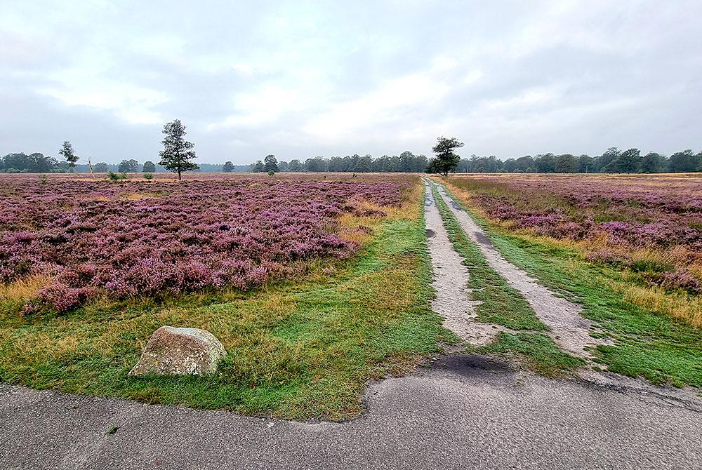 Heidevelden Drenthe, Landal Orveltermarke review