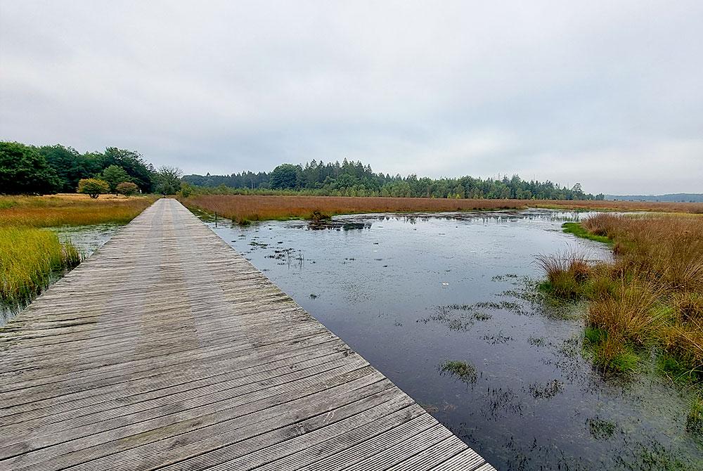 Fietpad vennetje in Drenthe, Landal Orveltermarke