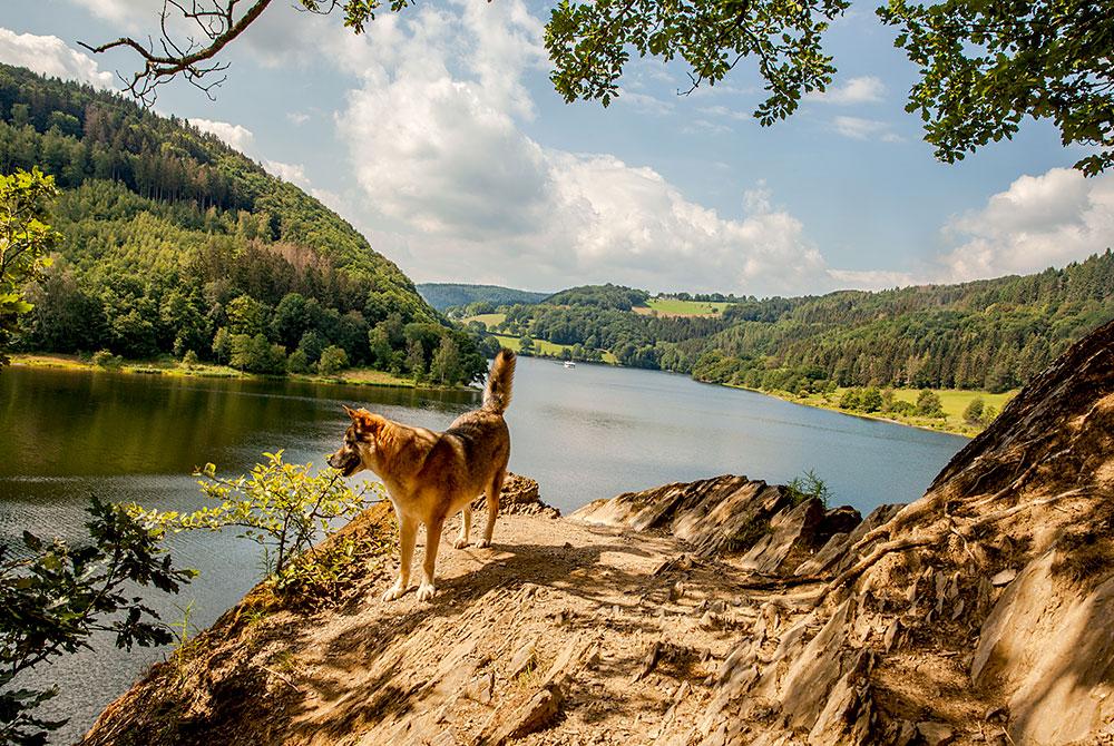 Nationaal Park Eifel, mooiste plekken Eifel