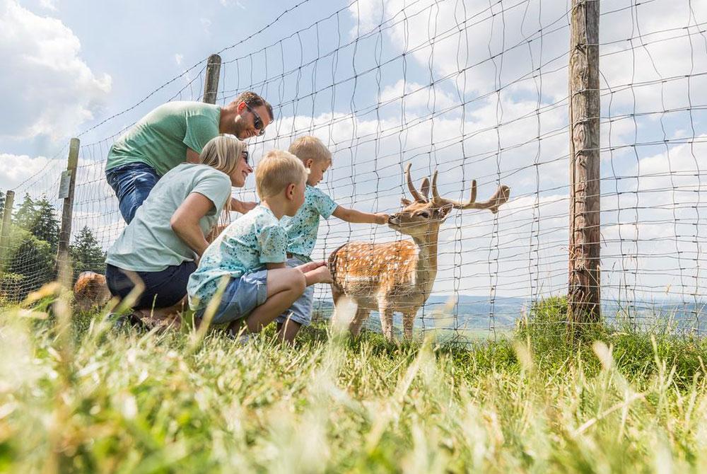 Landal Sonnenberg, Landal camping Duitsland