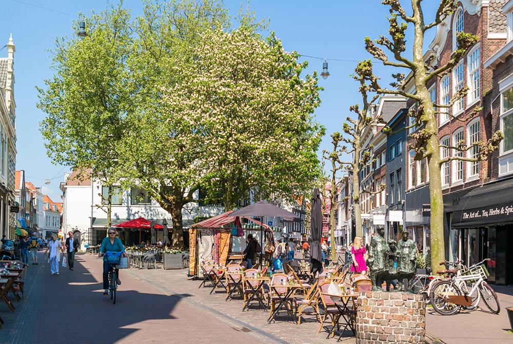 De Gouden Straatjes, wat te doen stedentrip Haarlem