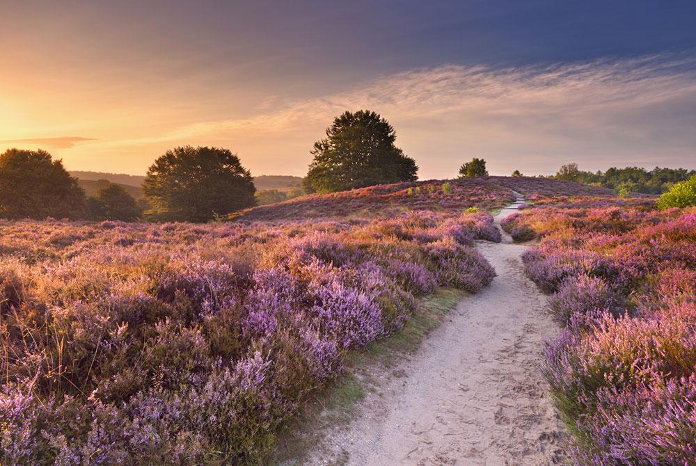 Veluwe, Weekendje Nederland