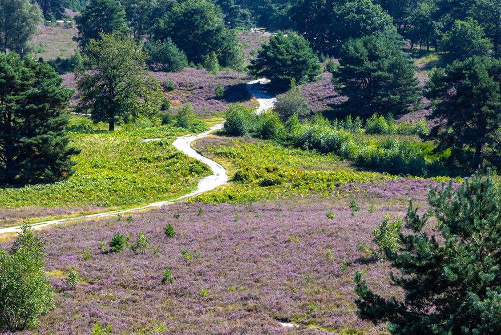 De Brunssummerheide, wandelroutes Zuid-Limburg