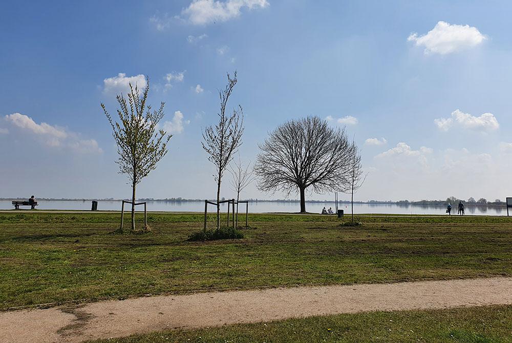 Uitzicht over de Reeuwijkse Plassen