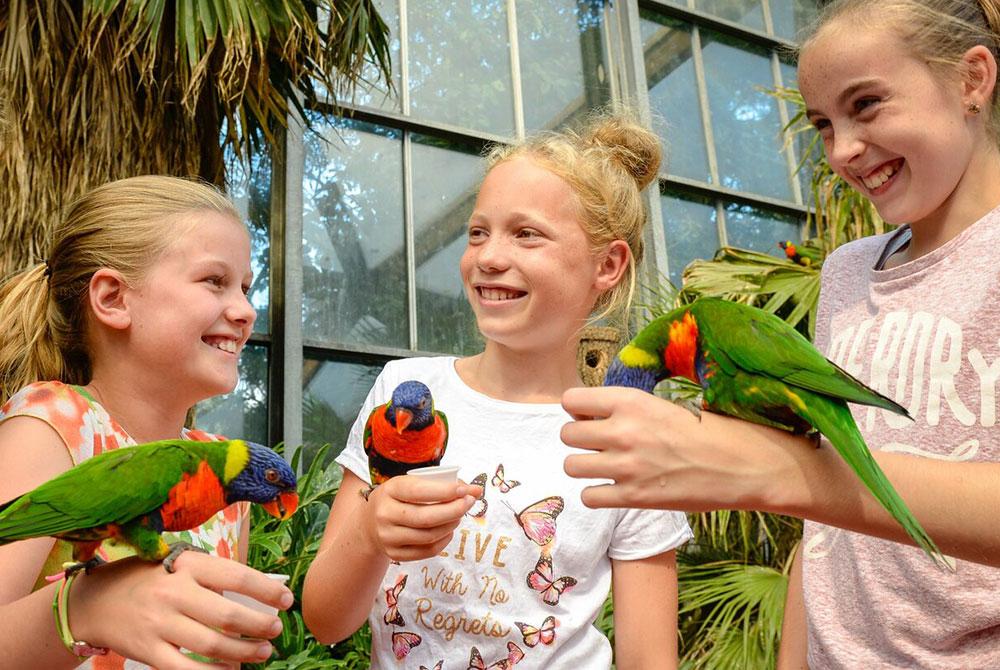 Vogelpark Avifauna, Landal De Reeuwijkse Plassen review