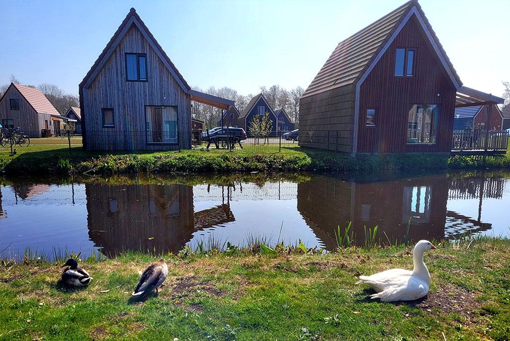 Eenden, Landal De Reeuwijkse Plassen review