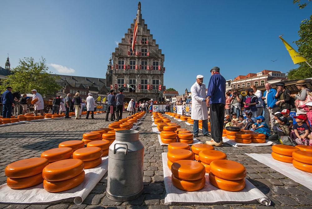 Gouda, Landal De Reeuwijkse Plassen review