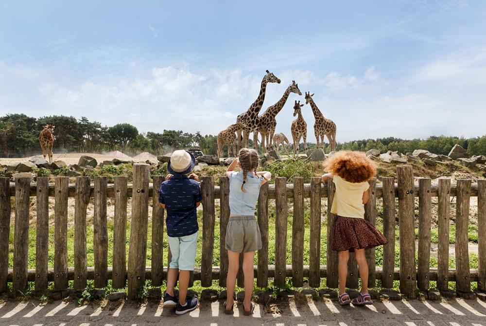 Safaripark Beekse Bergen, Lake Resort Beekse Bergen