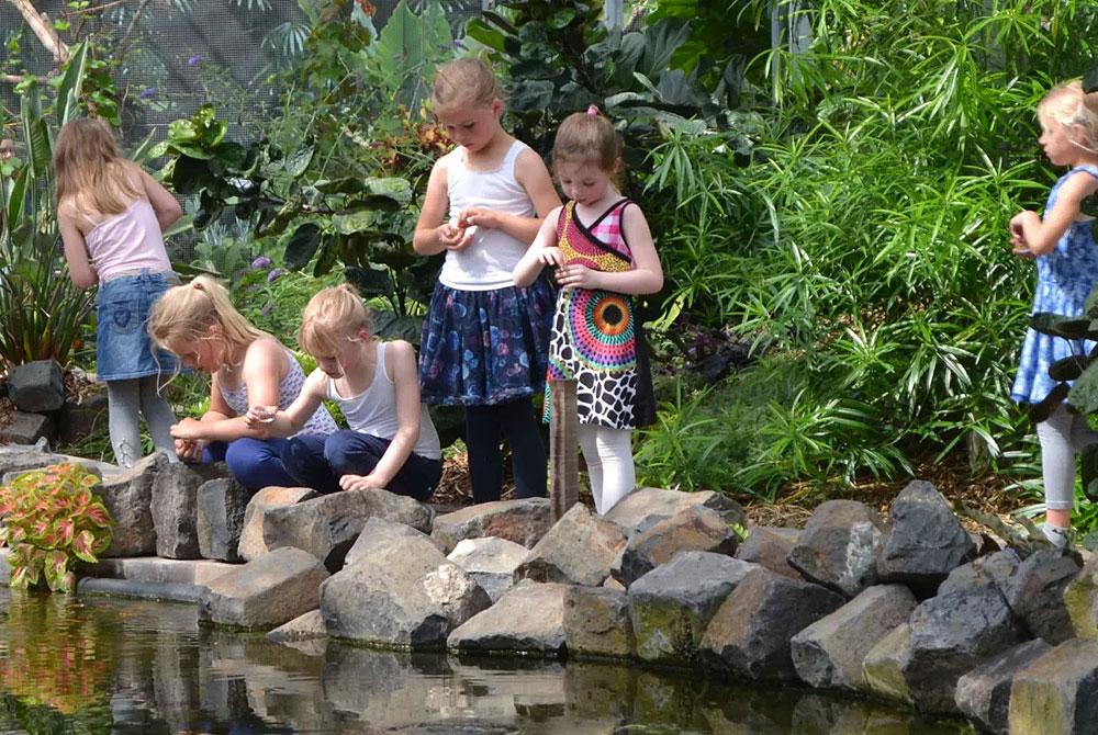 Vlindorado, Kinderuitjes Noord-Holland