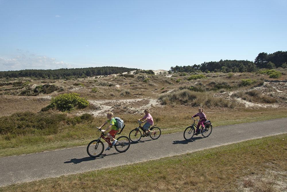 Schoorlse Duinen, Kinderuitjes Noord-Holland