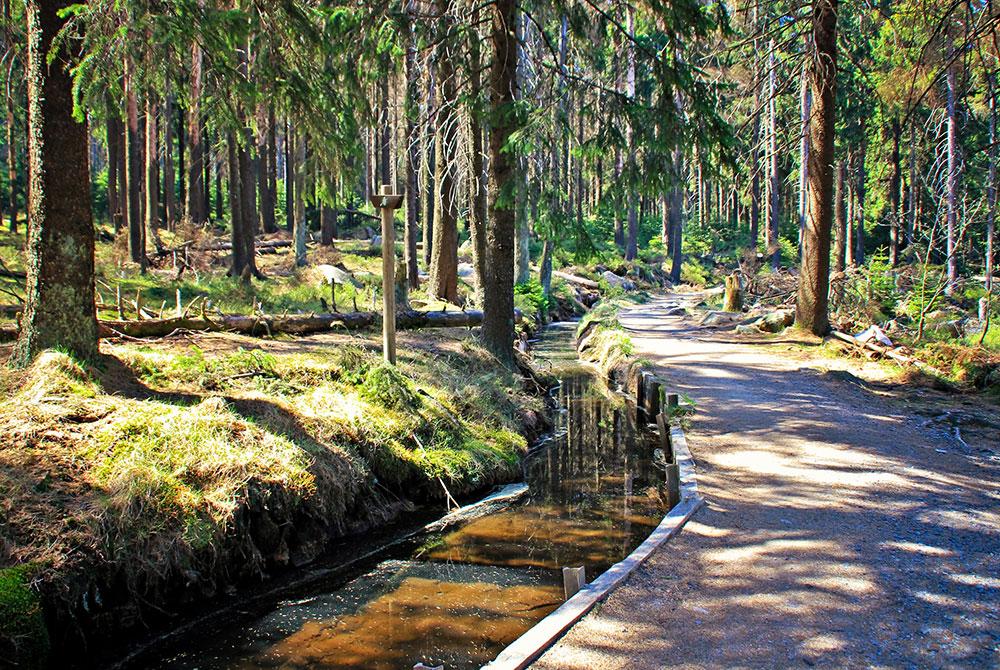Wandelen in de Harz, mooiste plekken in de Harz