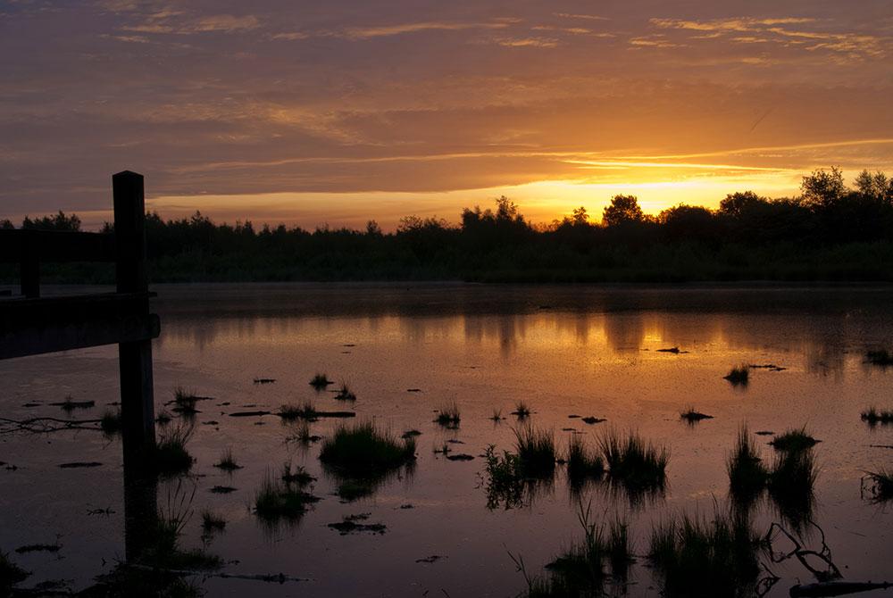 de Groote Peel natuurgebied