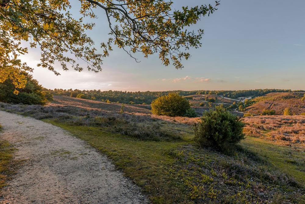 Landal Landgoed 't Loo op de Veluwe, aanbieding