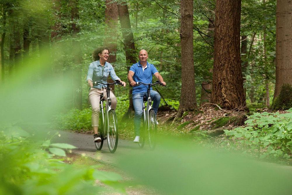 Fietsen bij Landal Landgoed 't Loo