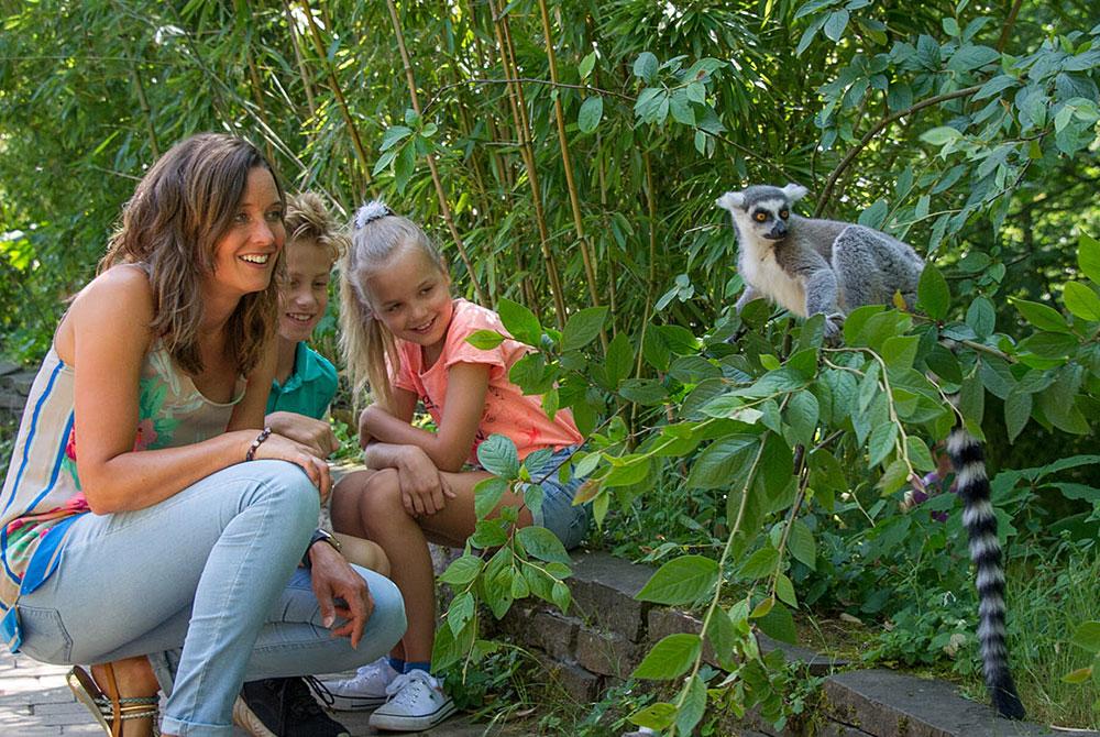 Apenhuel, kinderuitjes Gelderland