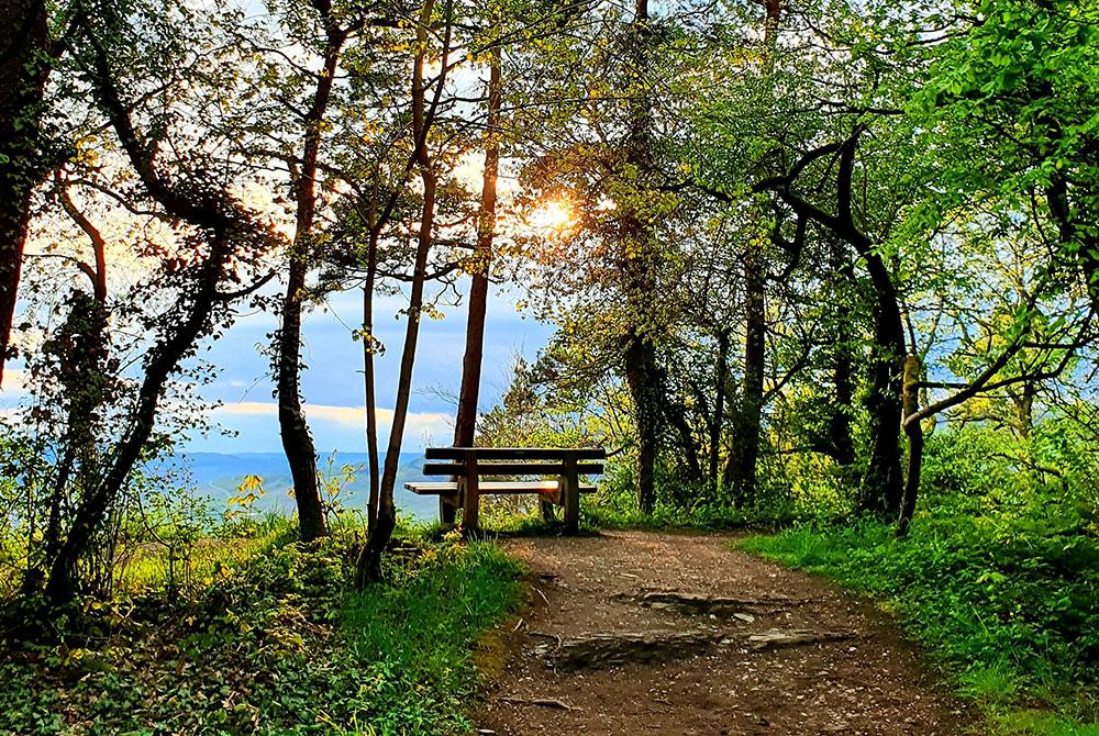 Uitzicht bij Landal Mont Royal