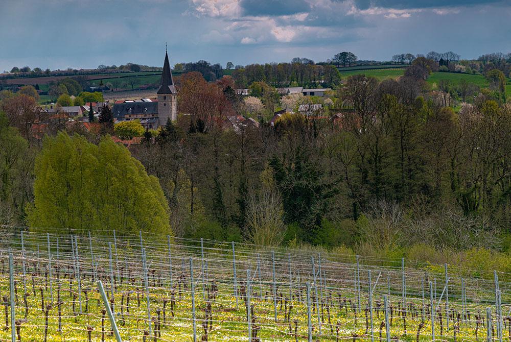 Noorbeek, Vakantievilla's De Waufsberg
