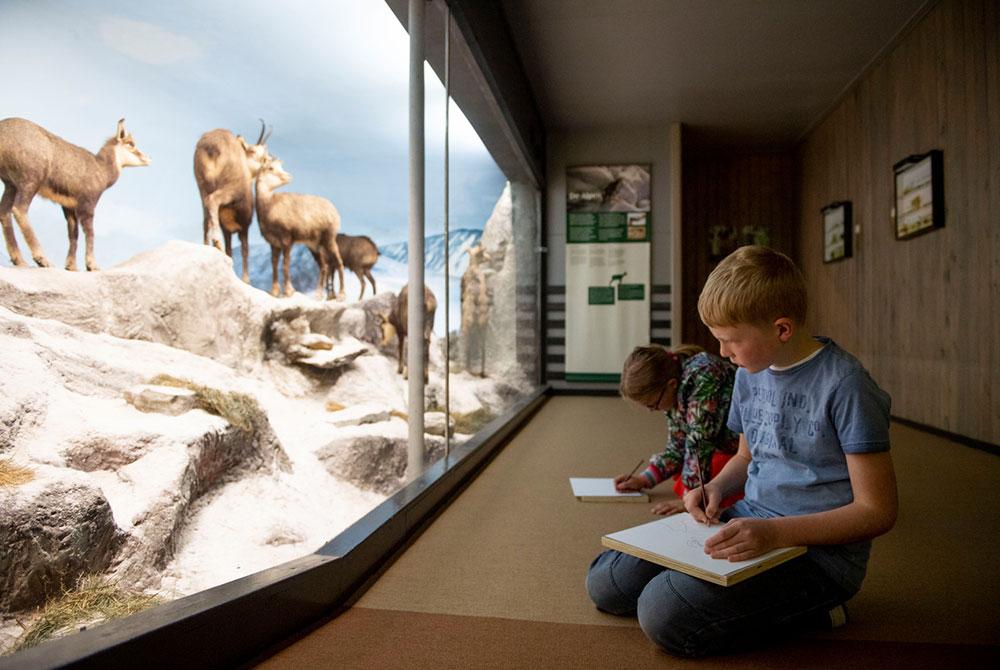 Natuurmuseum Holterberg, Kinderuitjes Overijssel