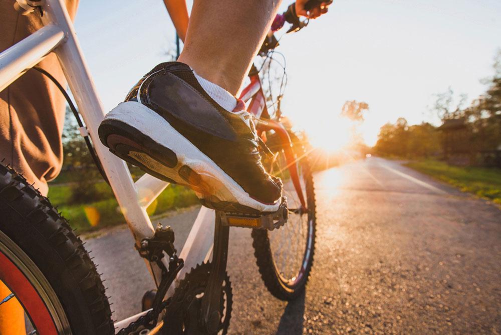 Wandelen en fietsen, Sneek stedentrip: wat te doen