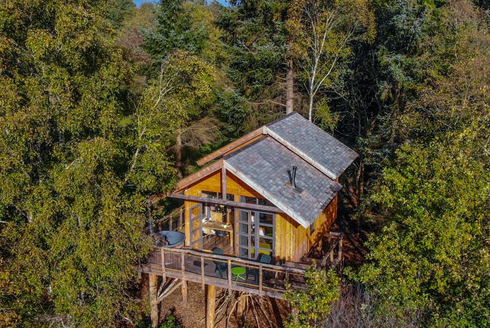 Boomhut, Luxe vakantiehuizen in Drenthe