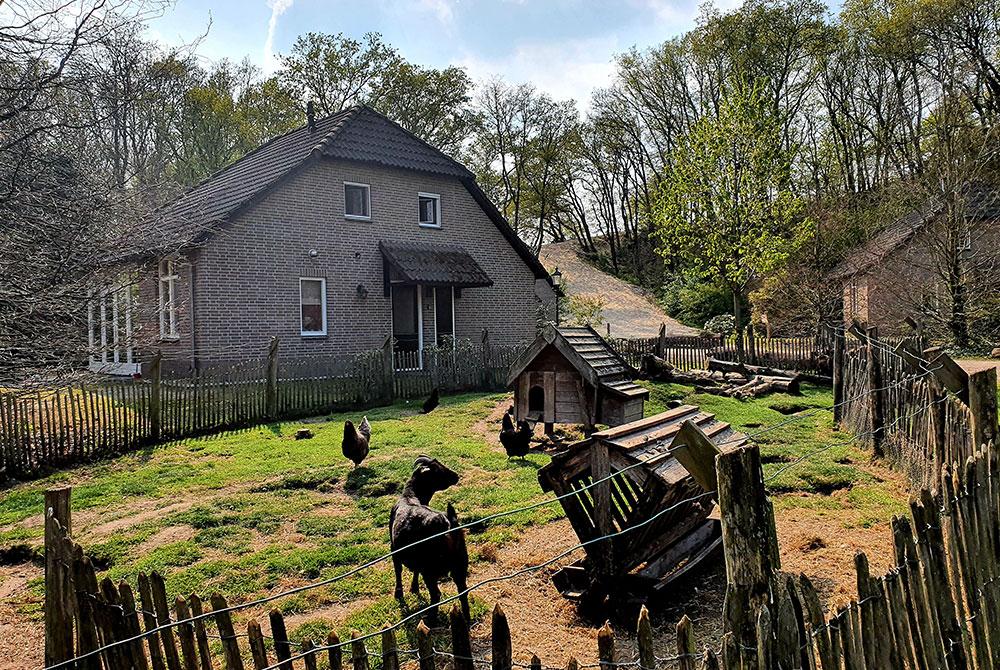 Dierenweide, Sandberghe review
