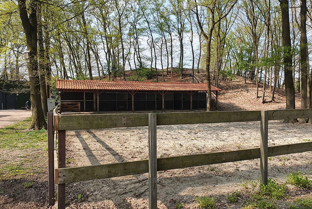 Paarden, Sandberghe review