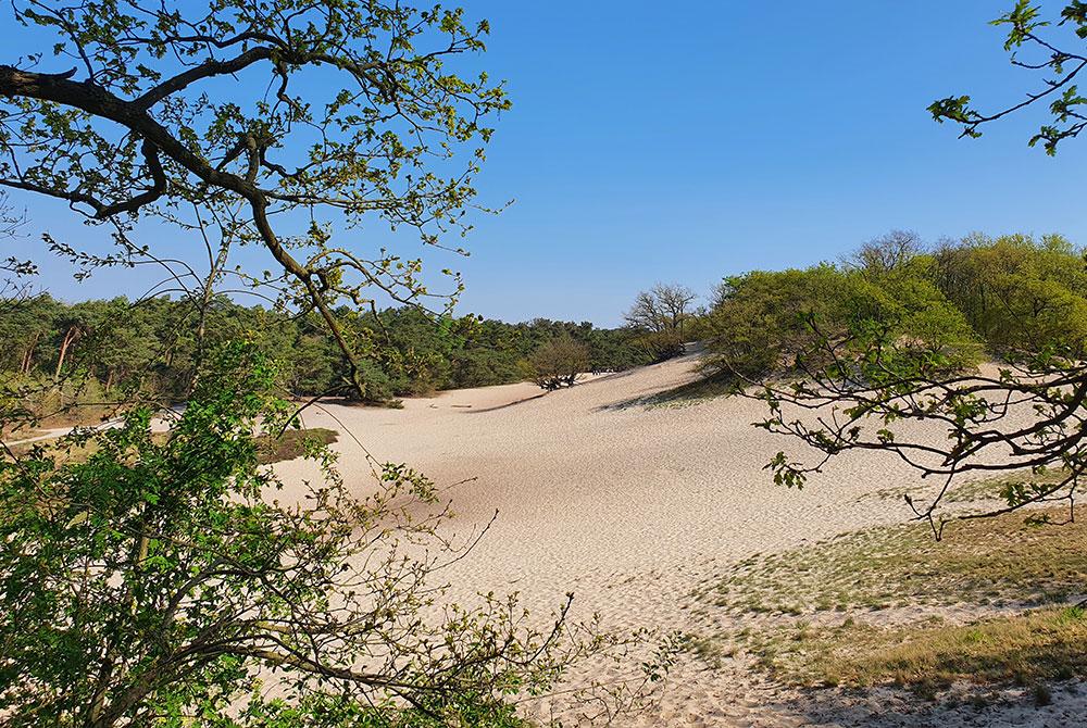 Bedafse duinen, Vakantiepark Sandberghe review