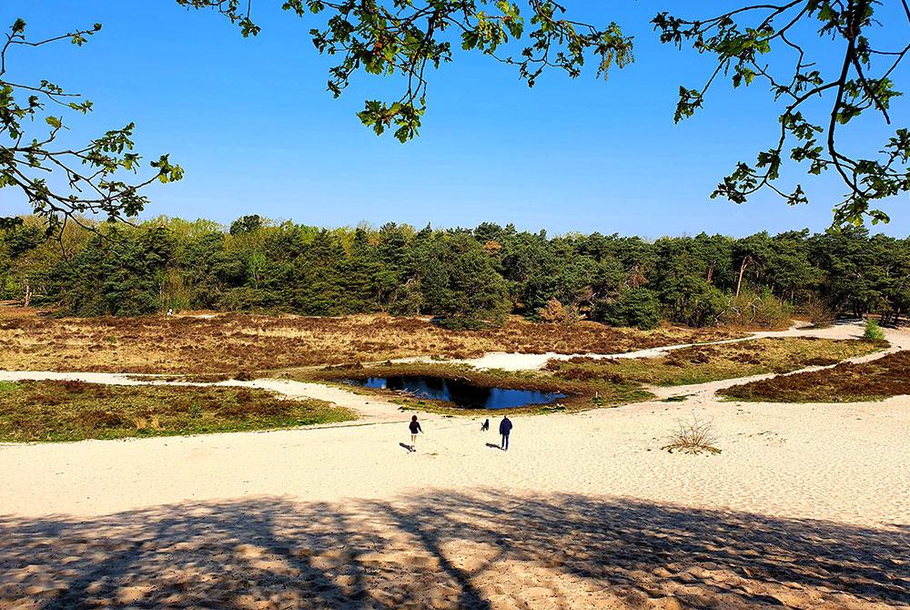 Vakantiepark Sandberghe review
