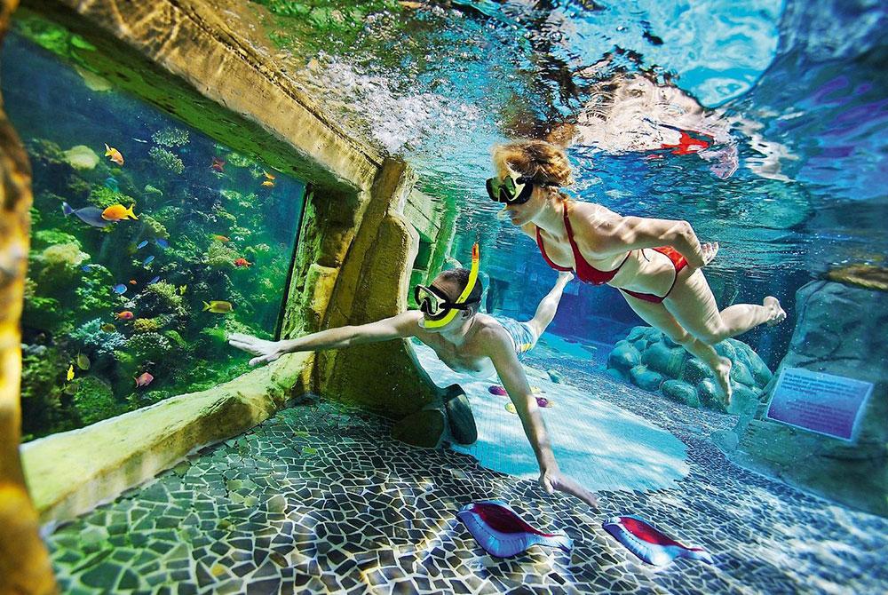 Center Parcs De Kempervennen, vakantiepark met mooiste zwembad