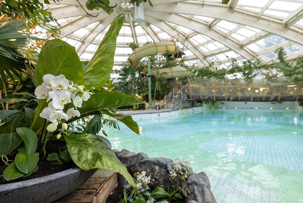 Center Parcs De Huttenheugte, vakantiepark met mooiste zwembad