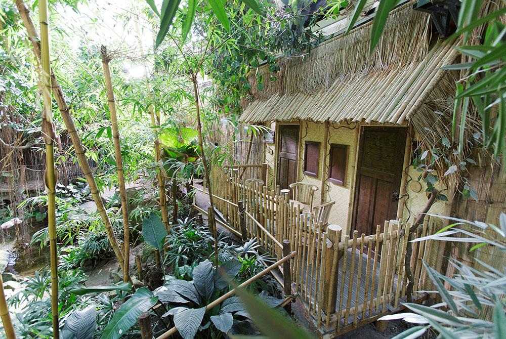 Jungle Cabana, Center Parcs Het Heijderbos