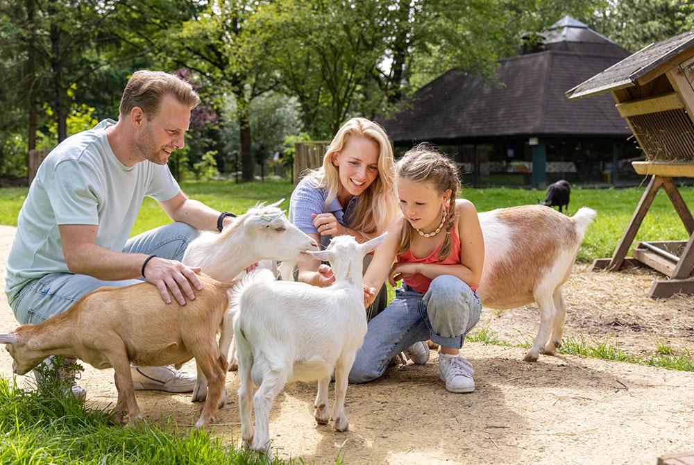Center Parcs Het Heijderbos