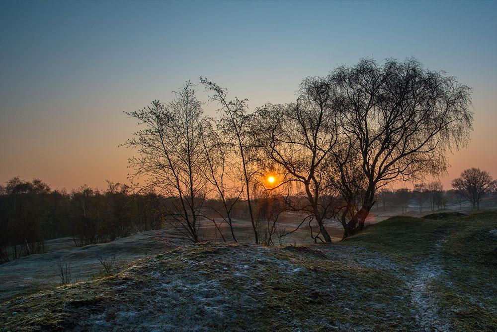 Zeepeduinen, Landal Résidence ‘t Hof van Haamstede
