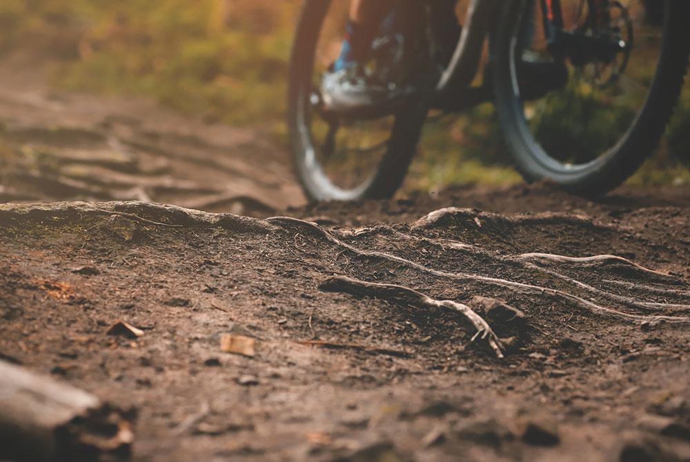 Mountainbike parcours Westerschouwen, Landal Résidence ‘t Hof van Haamstede