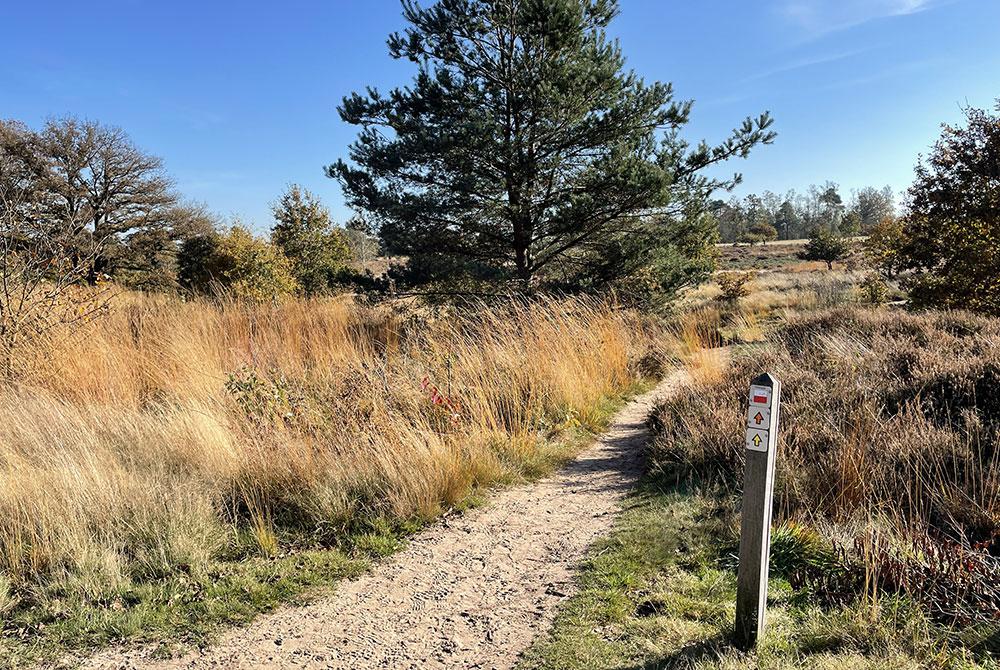 Sallandse Heuvelrug, aanbieding Landal Landgoed De Hellendoornse Berg