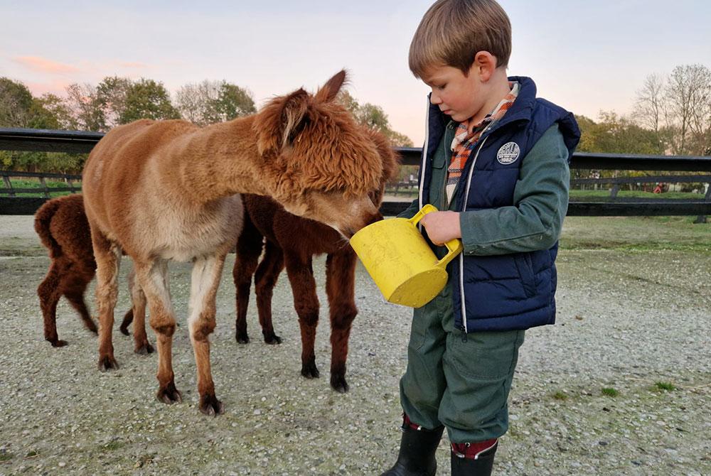 Stoer bij de boer, Landal Landgoed Bourtange