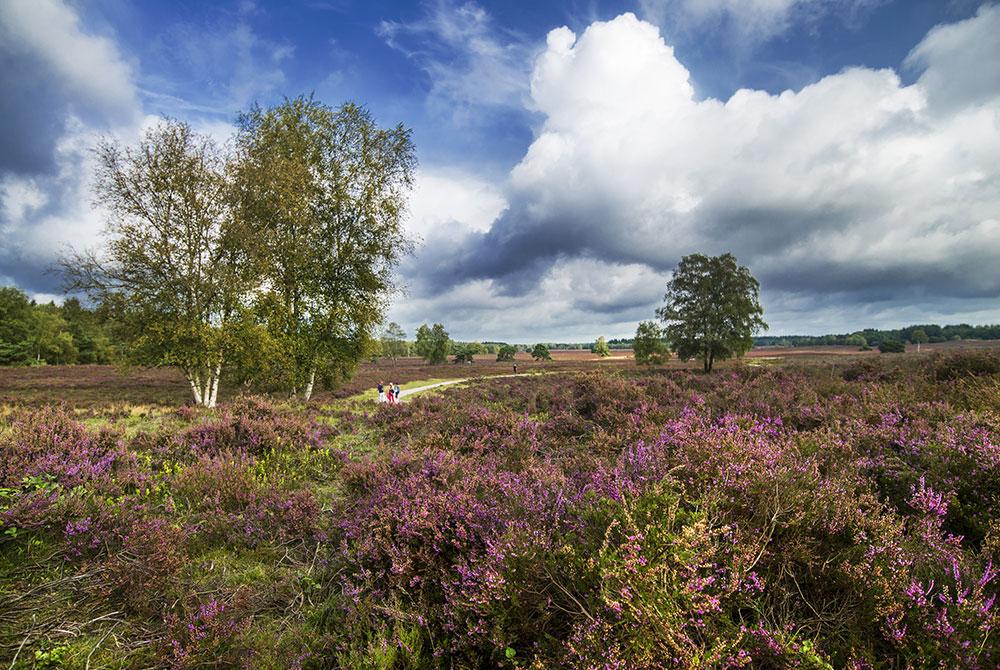 De Renderklippen, Landal Sprengerheide