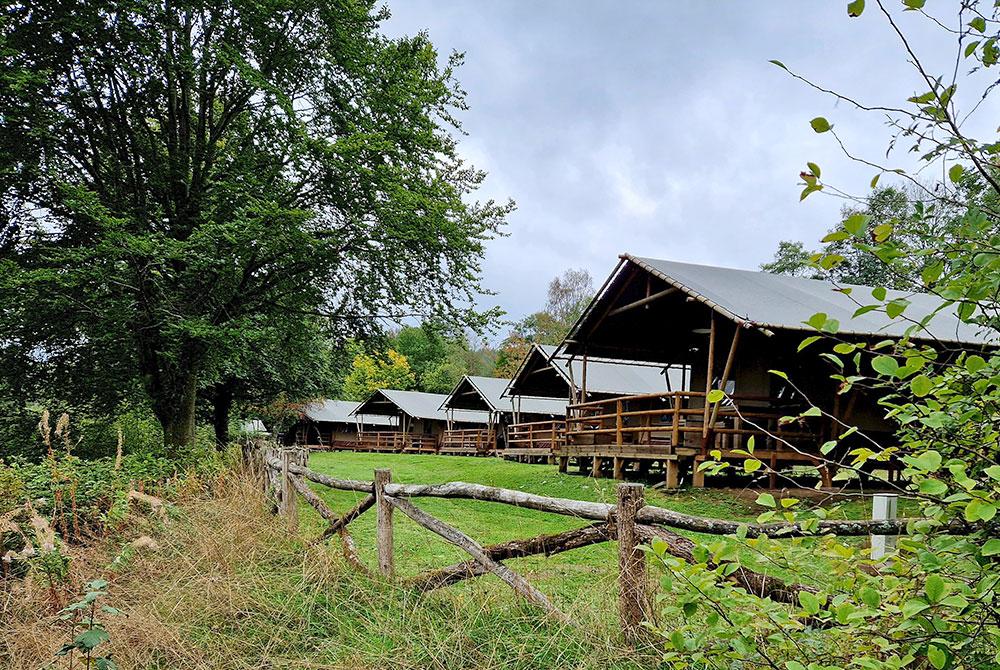 6-persoons safaritent 6ST, Landal Wirfttal