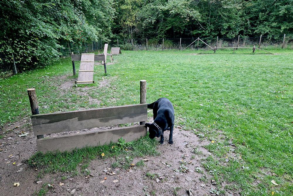 Hondenparcours, Landal Wirfttal