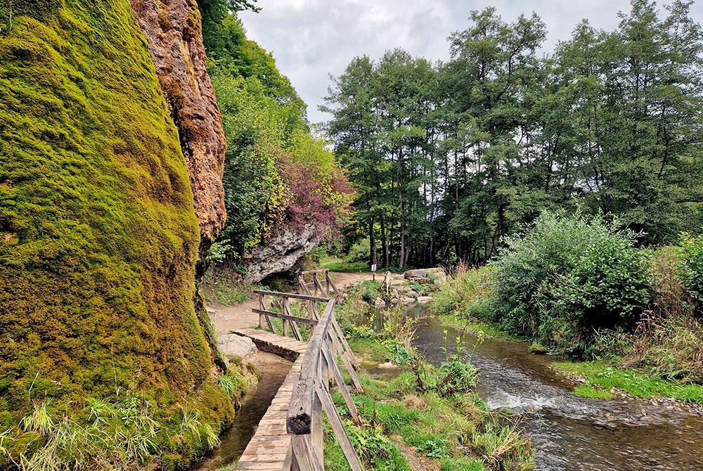 Wandelen in de natuur vlakbij Landal Wirfttal